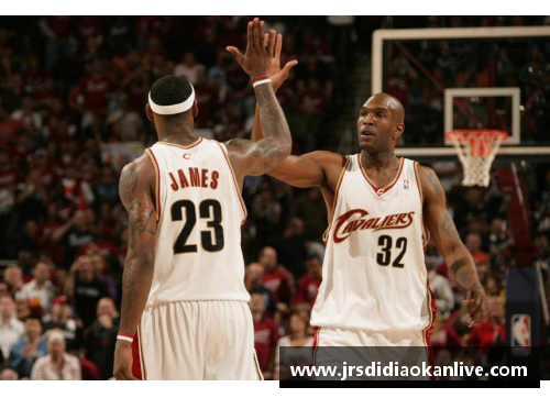 NBA历届状元秀：辉煌背后的精彩故事