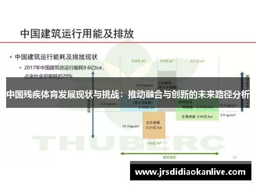 中国残疾体育发展现状与挑战：推动融合与创新的未来路径分析